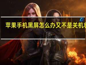 苹果手机黑屏怎么办又不是关机状态（苹果手机黑屏怎么回事）