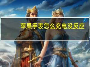 苹果手表怎么充电没反应