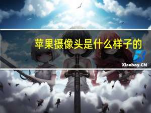 苹果摄像头是什么样子的