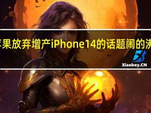 苹果放弃增产iPhone14的话题闹的沸沸扬扬