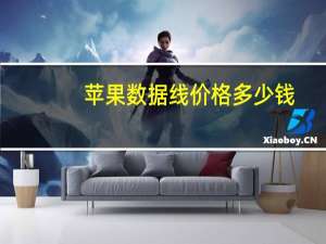 苹果数据线价格多少钱（苹果数据线价格）