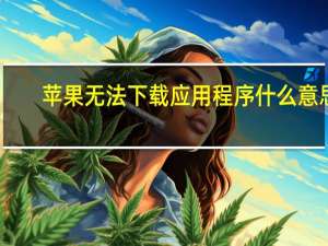 苹果无法下载应用程序什么意思