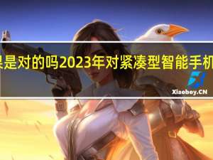 苹果是对的吗 2023年对紧凑型智能手机没有需求