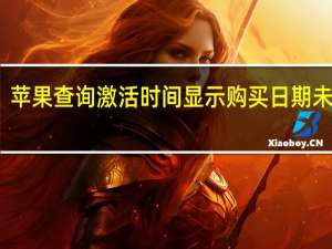 苹果查询激活时间显示购买日期未验证（苹果查询激活时间）