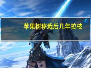 苹果树移栽后几年拉枝