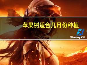 苹果树适合几月份种植