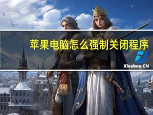 苹果电脑怎么强制关闭程序