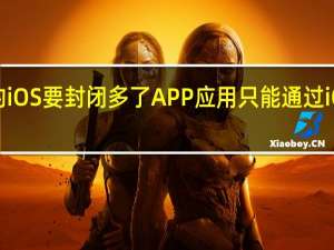 苹果的iOS要封闭多了APP应用只能通过iOS商店安装