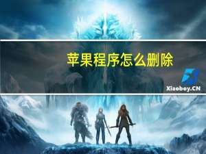 苹果程序怎么删除