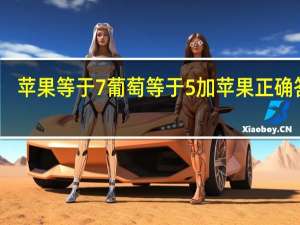苹果等于7葡萄等于5加苹果正确答案