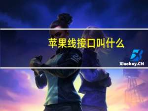 苹果线接口叫什么