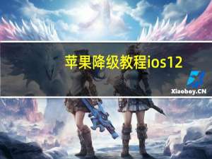 苹果降级教程ios12（苹果降级教程）