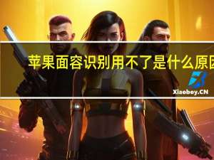 苹果面容识别用不了是什么原因