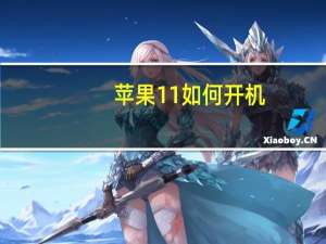 苹果11如何开机