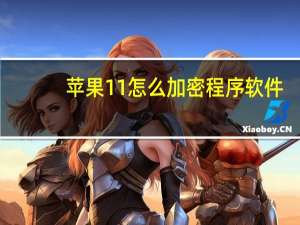 苹果11怎么加密程序软件