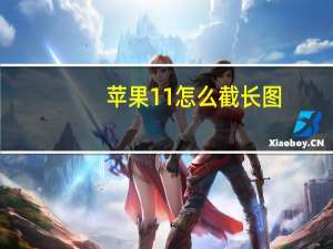 苹果11怎么截长图（苹果怎么截长图）