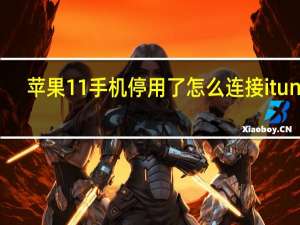 苹果11手机停用了怎么连接itunes（苹果手机已停用怎么连接itunes）