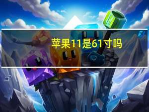 苹果11是61寸吗