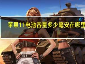 苹果11电池容量多少毫安在哪里看（苹果11电池容量）