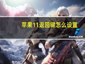 苹果11返回键怎么设置（苹果11返回键怎么调出来）