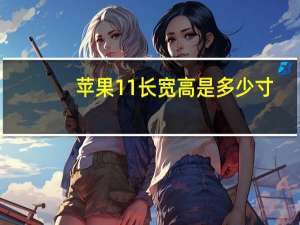 苹果11长宽高是多少寸