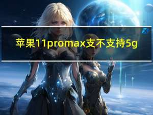 苹果11promax支不支持5g（苹果11pormax支持5g吗）