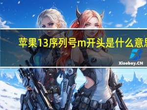 苹果13序列号m开头是什么意思