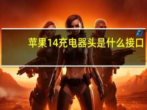 苹果14充电器头是什么接口