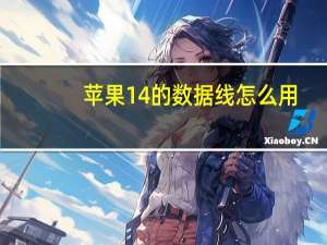 苹果14的数据线怎么用（数据线怎么用）