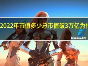 苹果2022年市值多少 总市值破3万亿为什么这么高