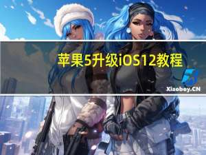 苹果5升级iOS12教程（苹果5升级ios7）