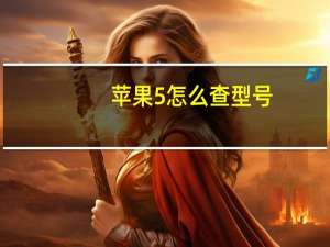 苹果5怎么查型号（苹果5序列号查询(苹果序列号查询)）