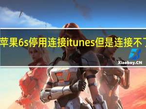 苹果6s停用连接itunes但是连接不了电脑（苹果6s已停用连接itunes怎么办）