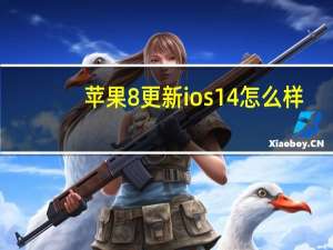 苹果8更新ios14怎么样（怎么更新ios14）