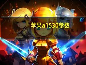 苹果a1530参数（a1530是苹果什么型号）