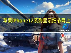 苹果iPhone 12系列显示细节网上泄露