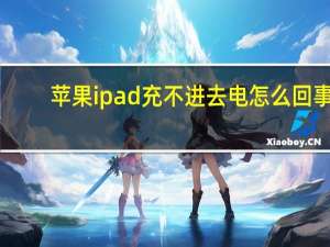 苹果ipad充不进去电怎么回事（为什么ipad充不了电）