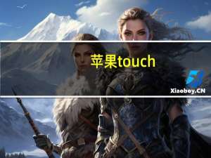 苹果touch（苹果itouch）