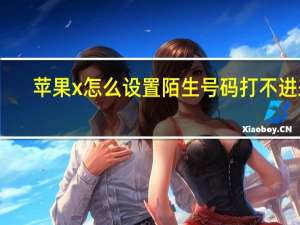 苹果x怎么设置陌生号码打不进来（苹果x怎么设置铃声）