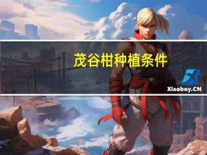 茂谷柑种植条件