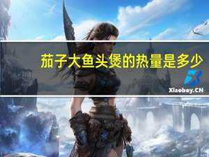 茄子大鱼头煲的热量是多少？