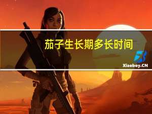 茄子生长期多长时间