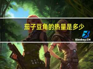 茄子豆角的热量是多少