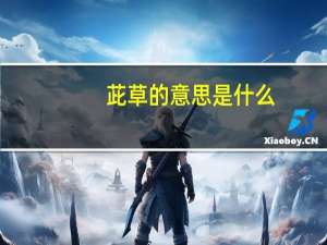 茈草的意思是什么