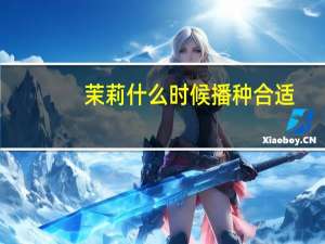 茉莉什么时候播种合适