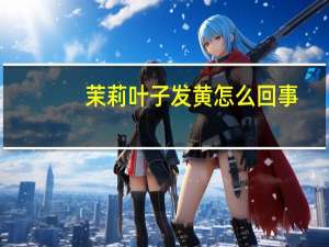 茉莉叶子发黄怎么回事