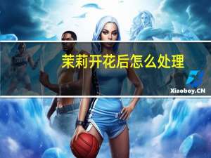 茉莉开花后怎么处理