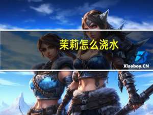 茉莉怎么浇水