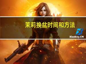 茉莉换盆时间和方法