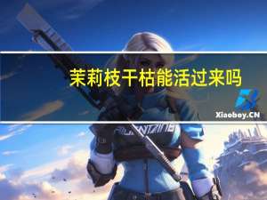 茉莉枝干枯能活过来吗